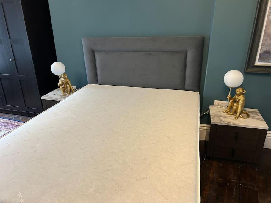 Apartament Patrick Street Townhouse Cork Zewnętrze zdjęcie